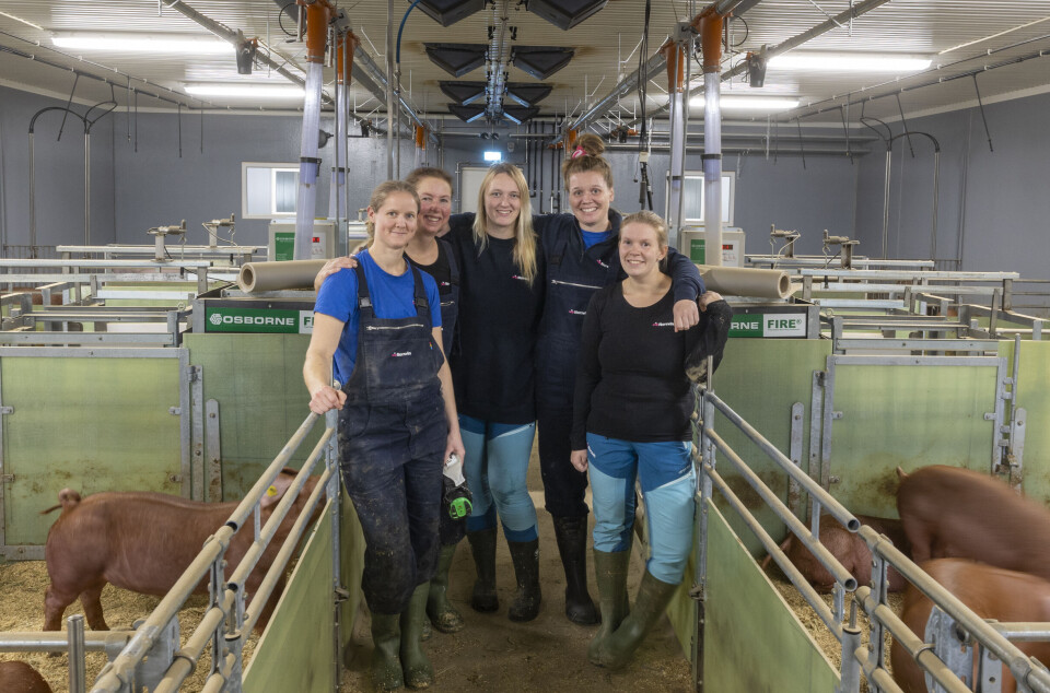 Det er flest damer i rånetesten. Anette ønsker seg også noen karer dit. Fra venstre: Carina Kvålshagen, Hege Sletli, Marit Stensåsen Karterud, Lina Marie Neby og Anette Westad Karterud. I tillegg jobber Camilla Rung og Jorunn Sylju på Delta. Disse var ikke til stede da bildet ble tatt
