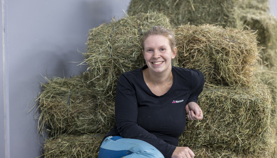 Anette er ennå ikke 30 år, men er allerede tre-fire år inn i en ansvarsfull lederjobb i Norsvin.