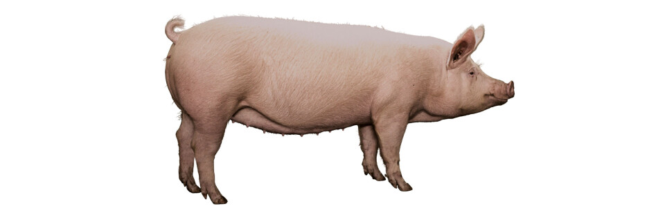 780 000 000