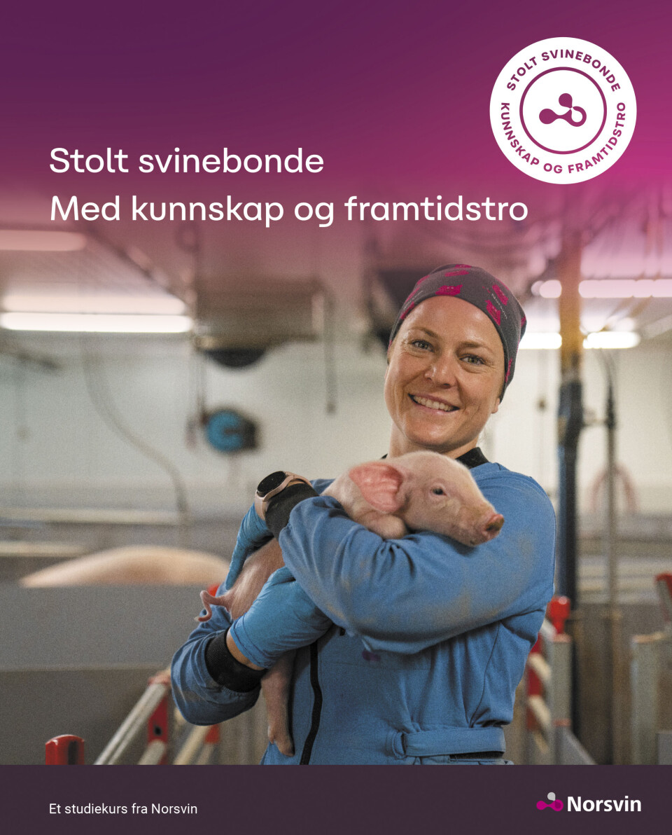 Nytt studiekurs i posten
