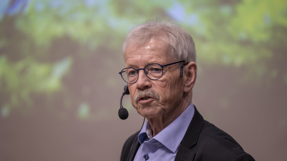 Eik-Nes oppsummerte året 2024 som innholdsrikt og verdiskapende – og som et tydelig steg videre i retning av Norsvins langsiktige mål.