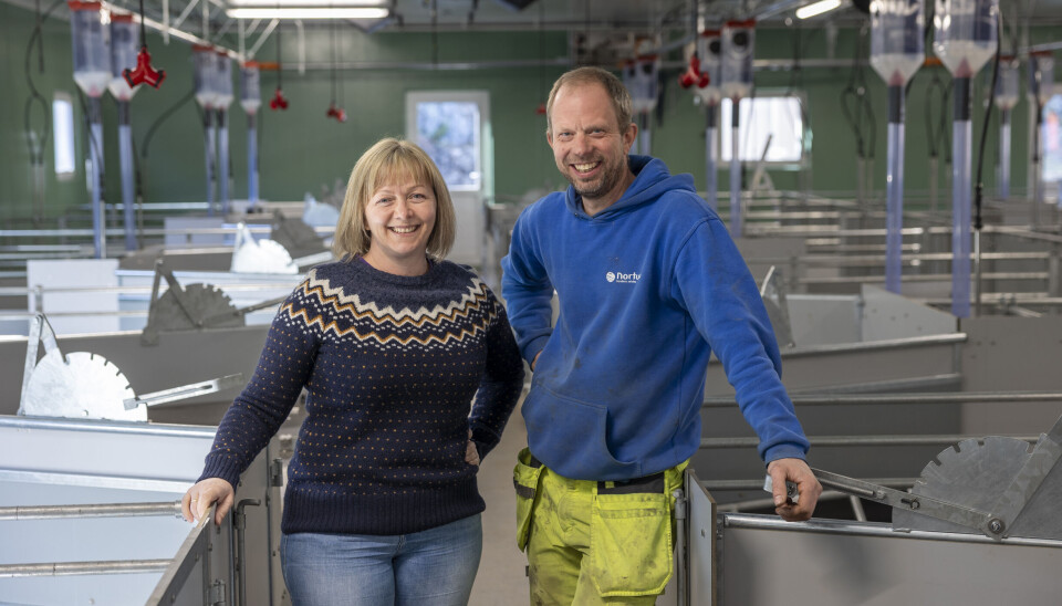 Bingene i den nye rene fødeavdelinga til Alf Eivind og Kirsten Helen Myren er på 8,2 m2. Det kommer en egen sak om den i sommerutgaven av SVIN.
