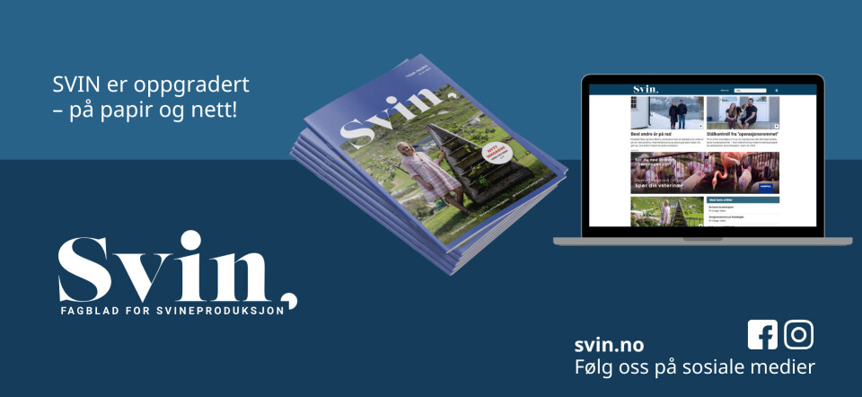 Velkommen til SVIN.NO