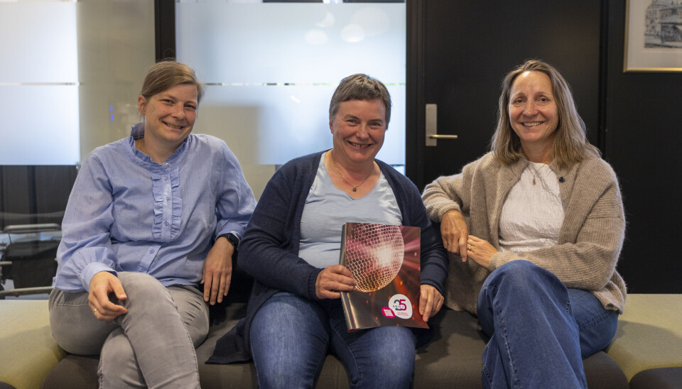 STERK GJENG: Fra venstre: Inger-Marte Kjølseth (kongresskomiteen), Solveig Kongsrud (fagkomiteen) og Målfrid Narum (hovedkomiteen).